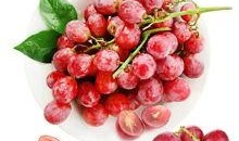 爆料提子视频大全最新版,精彩内容抢先看