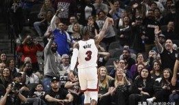 韦德再次爆料评论视频播放